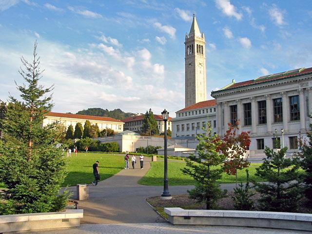 UC Berkeley glade