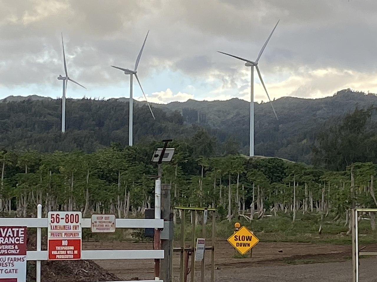 Wind generators Kahuku Oahu Hawaii Wikimedia