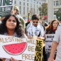 ProPalestine rally NYC with watermelons wikimedia